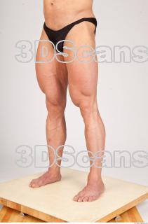 Leg texture of Dale 0004